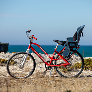 Adult bike with baby seat