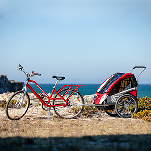 Adult Bike with Child Trailer