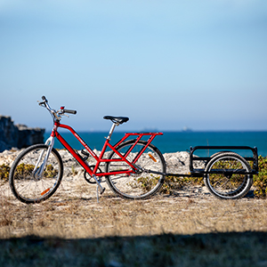 Adult Bike with Cargo Trailer